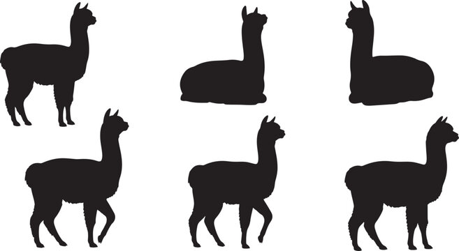 Alpaca and llama animal silhouette collection showing different poses for wildlife farming and nature designs.