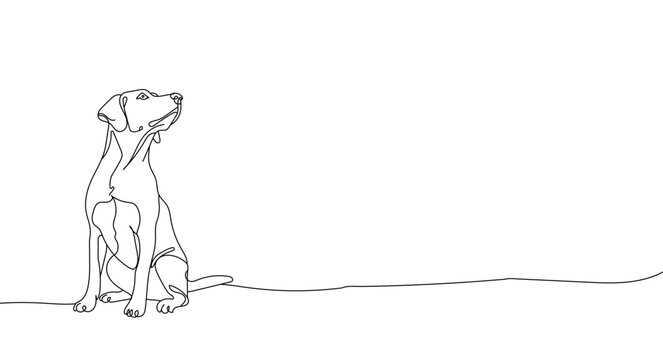 sketch of a dog line drawing vector