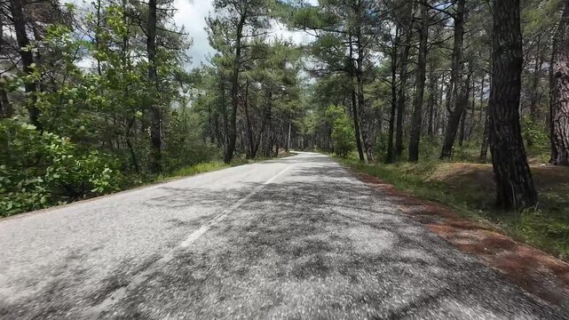 A car driving on an asphalt road through a forest, filmed with a camera mounted on it. greece komotini nimfea 4k 10bit