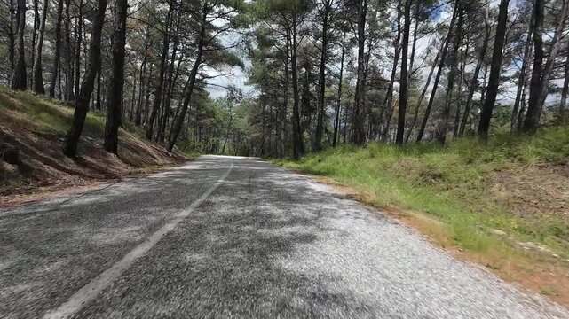 A car driving on an asphalt road through a forest, filmed with a camera mounted on it. greece komotini nimfea 4k 10bit