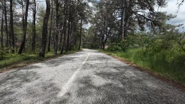 A car driving on an asphalt road through a forest, filmed with a camera mounted on it. greece komotini nimfea 4k 10bit