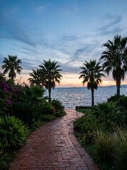Fototapeta premium Tropical garden pathway leading to ocean during blue hour evening