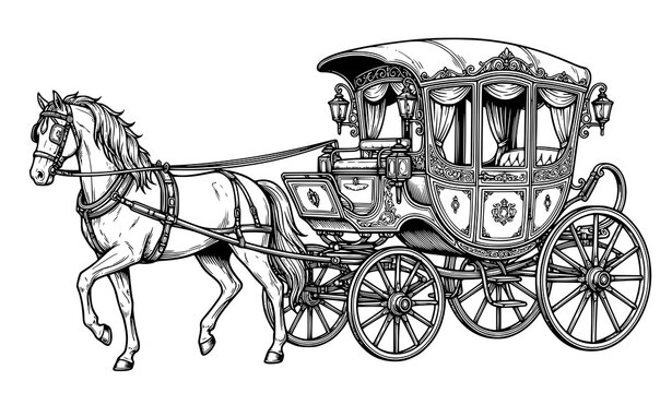 Detailed antique royal horse carriage black and white vector