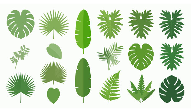 Diverse collection of green tropical leaves and foliage vector
