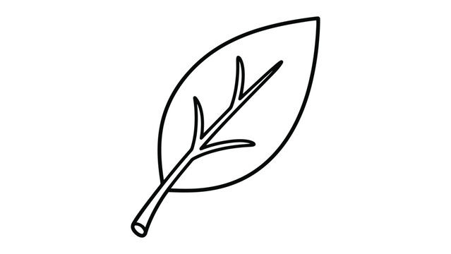 Outline drawing of a leaf with veins line art black and whit