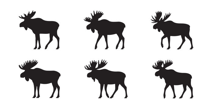 Wild Moose Silhouette Vector Set in Different Poses and Profiles