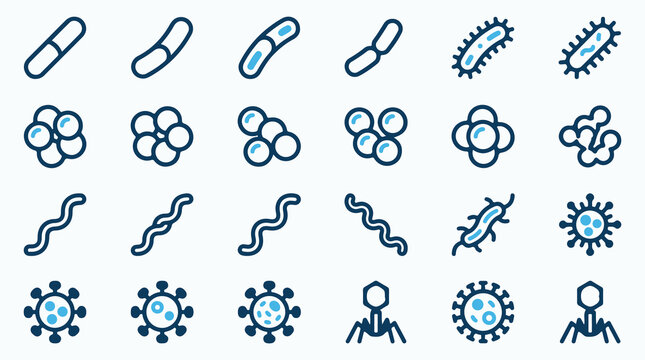 Diverse Collection of Bacteria and Virus Outline Icons for Microbiology