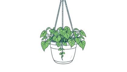 Hanging Philodendron Plant Vector Illustration © denisjack