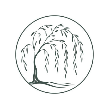 Minimalist willow tree logo symbol vector