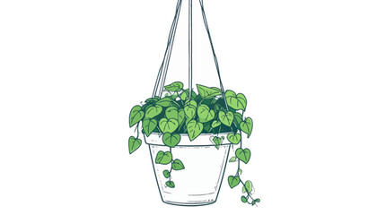 Hanging Heart-Leaf Philodendron Vector Illustration © RamaHima