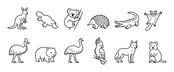 Obraz premium Kangaroo platypus koala echidna crocodile sugar glider cassowary wombat emu cockatoo dingo quokka Australian animals vector illustration set