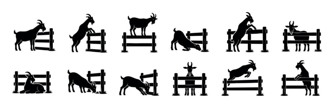 Goats and fences in various poses including standing, jumping, eating, and resting, black silhouette vector illustration set