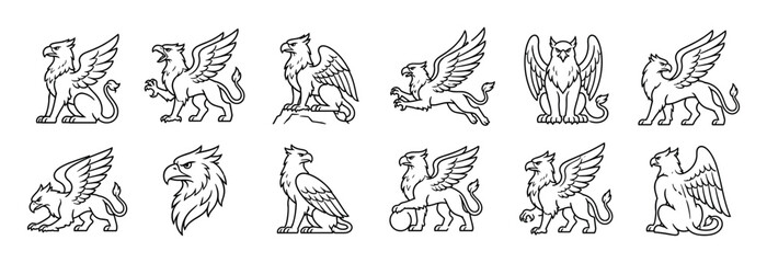 Fototapeta premium Mythical griffin creatures in various poses, including sitting, standing, and flying, depicted as a line art vector illustration set