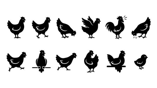 Collection of various black chicken silhouettes on vector