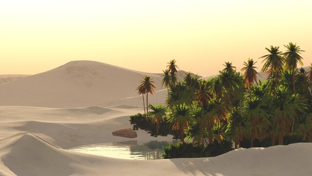 Beautiful oasis in the sandy desert, panorama of the desert landscape, sunset over the sands, 3D rendering