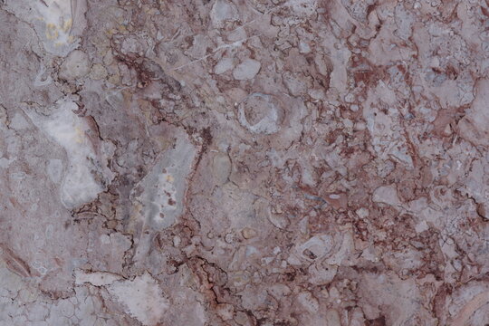 Close up pink and grey marble stone texture with natural veining and fossil pattern