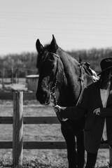 Obraz premium Black horse stands next to person holding its lead rope at a farm on a sunny day with open fields in the background