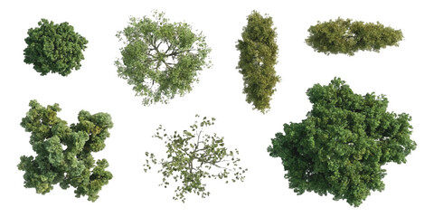 Obraz premium Set of green trees and bushes seen from above for landscape design and architectural site planning projects