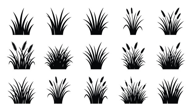 Set of grass and reed silhouettes isolated on white background for landscape design layout.