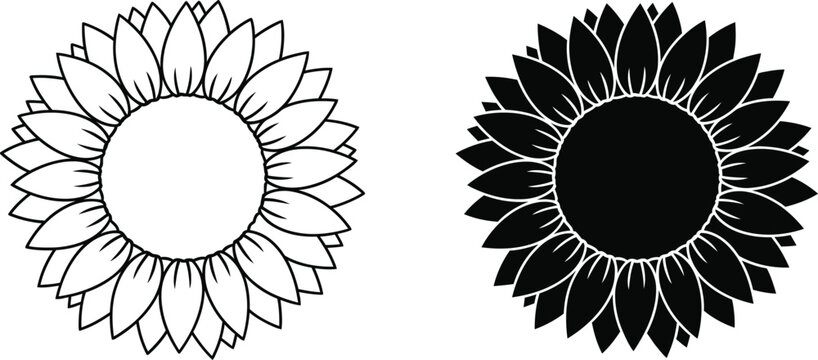 Sunflower head illustrations black and white line art set for botanical design and graphic projects