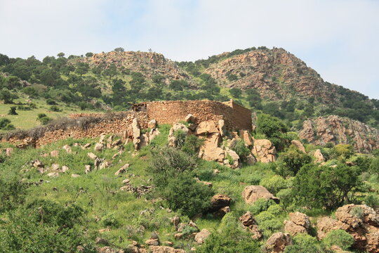 Old clay and stone houses in the Little Atlas Mountains, surrounded by argan trees and wild grasses, reflecting rural life and history near Arbaa Sahel, Tiznit, Morocco.