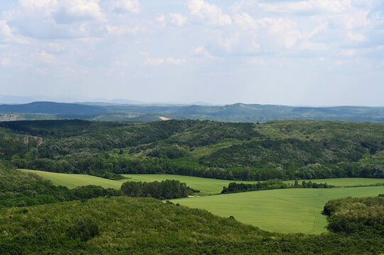 lush green farm land in the spring. rural wheat field surrounded by forests. tractor tracks in the crop. lush green hills. blue sky and white clouds. panoramic landscape image.