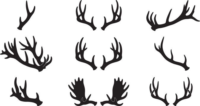 Collection of diverse deer antlers in black and white silhouettes also transparent background, horns