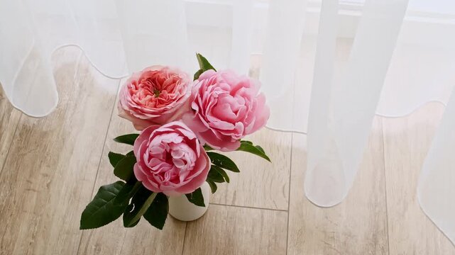 Peony flowers stand in a vase by the window. Wind blows through the open window in the room. Waving white tulle near the window. Product presentation, mockup for advertising. High quality 4k footage