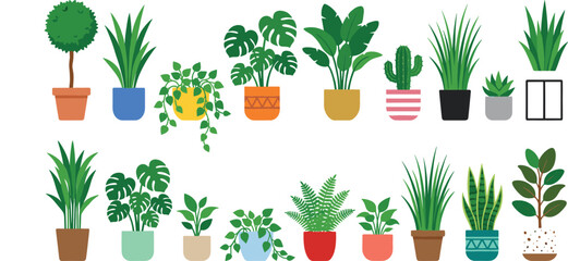 Green potted houseplants set including monstera cactus snake plant and fern isolated on white background flat graphic vector © Azay Chandra