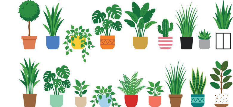Green potted houseplants set including monstera cactus snake plant and fern isolated on white background flat graphic vector