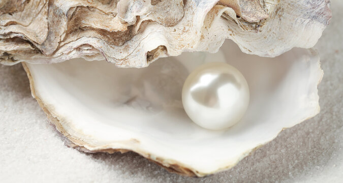 Oyster shell with pearl on sand, closeup
