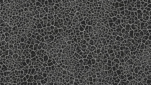 Cracked earth texture vector, dry ground surface pattern, monochrome parched soil background, organic web network design for overlays