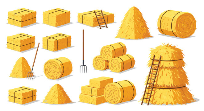 Assortment of hay bales in various shapes like rounds and cubes along with haystacks, wooden ladders, and pitchforks for farm work.