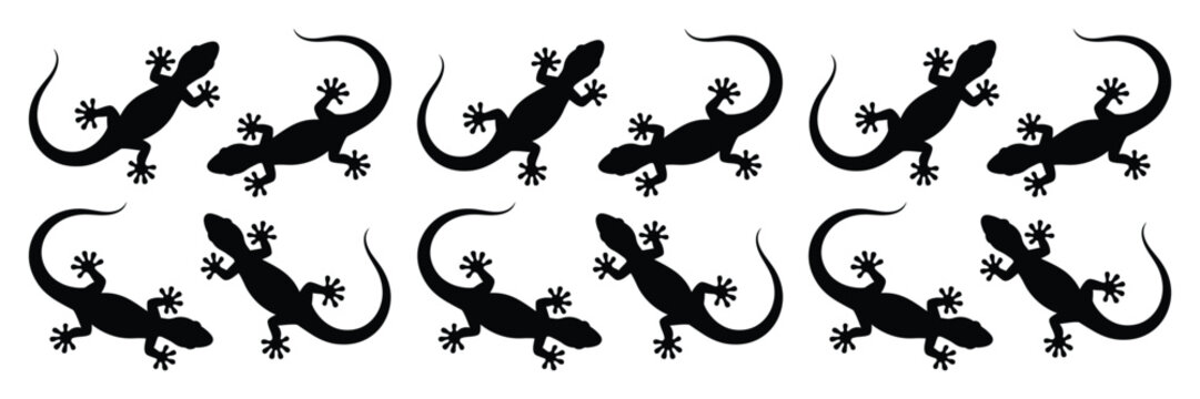 Collection of various black lizard silhouettes on white background for design