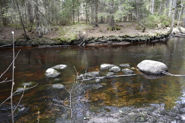 Fototapeta premium Serene forest river with smooth stones and reflections in water 