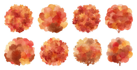 Obraz premium PNG Autumn watercolor tree illustrations on transparent background