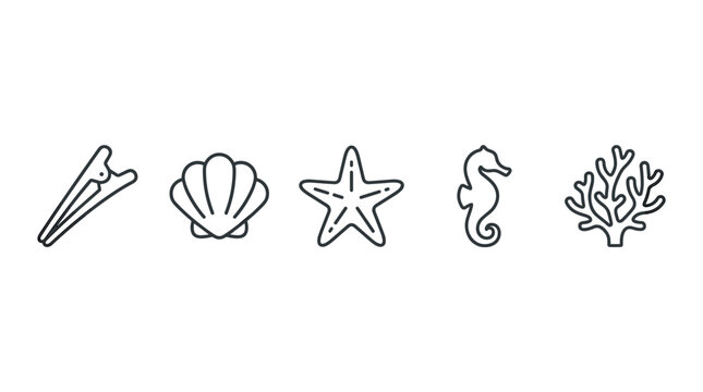 Ocean creatures and beach items outline icons set featuring a seashell, starfish, seahorse, coral, and hair clip, perfect for summer designs.