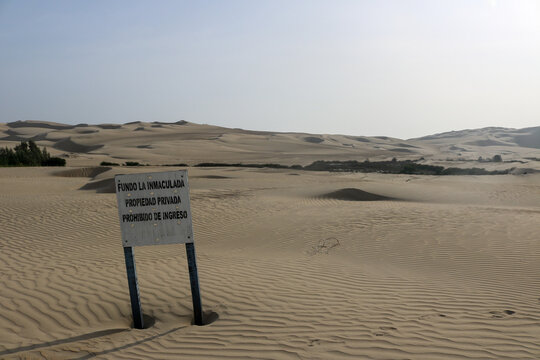 Silence Across the Ica Desert