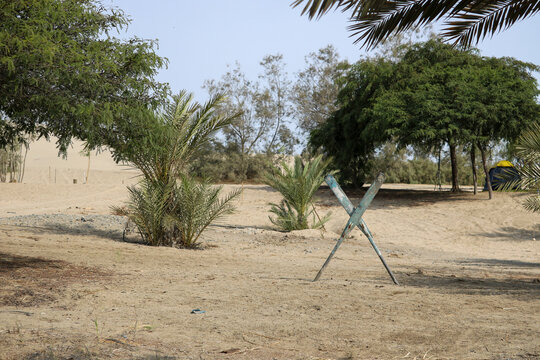 Desert Oasis Retreat