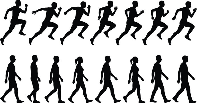 Vector illustration of human silhouettes showing walking and running motion phases representing fitness, biomechanics, and activity themes