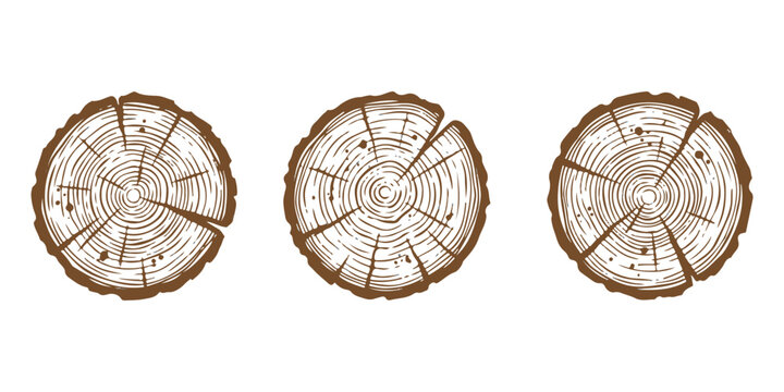 Three round wooden log cross sections with tree rings texture