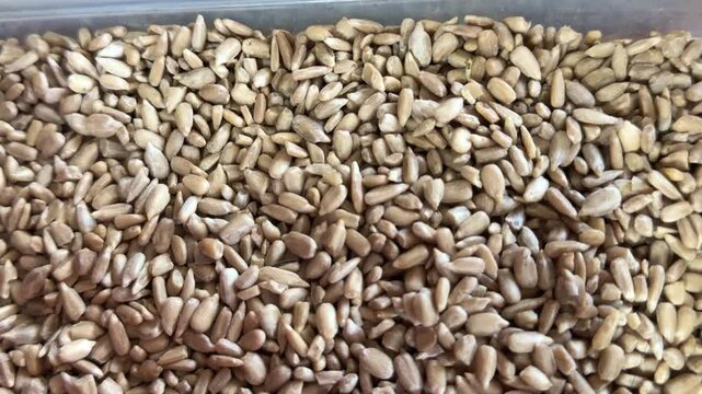 Unroasted peeled sunflower kernels displayed in container with fresh natural texture and healthy nutrition concept for cooking and everyday snack use.
