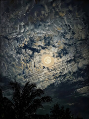 Fototapeta premium full moon over a dark blue sky