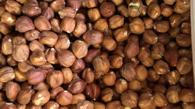 Raw peeled hazelnuts with thin brown skin displayed in container with rich natural texture and nutritious food concept for healthy eating and cooking.