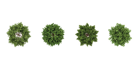 Obraz premium Set of four green trees seen from above for landscape architecture and garden design