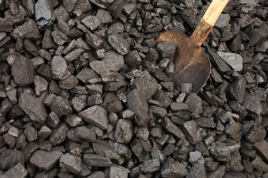 Dark coal litters the ground, coarse and wet