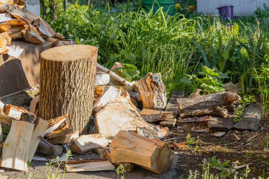 Chop block and split firewood logs on the ground in a backyard garden, chopped birchwood laying near tree stump outdoors, rustic countryside lifestyle and renewable energy concept
