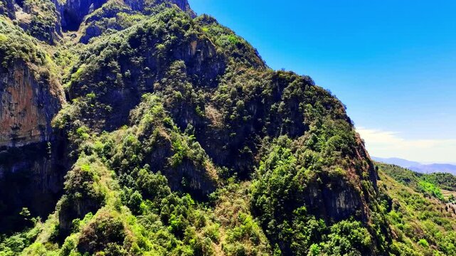 Rocky Mountain Canyon with Lush Green Vegetation