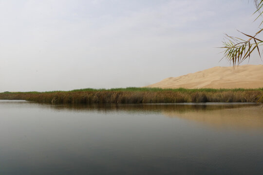 Still Waters of the Ica Oasis