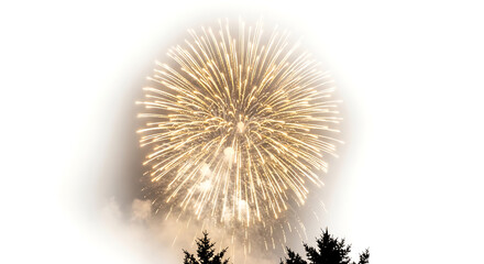 Fototapeta premium Large golden firework explosion in the night sky above silhouette of pine tree tops with a soft glowing white background